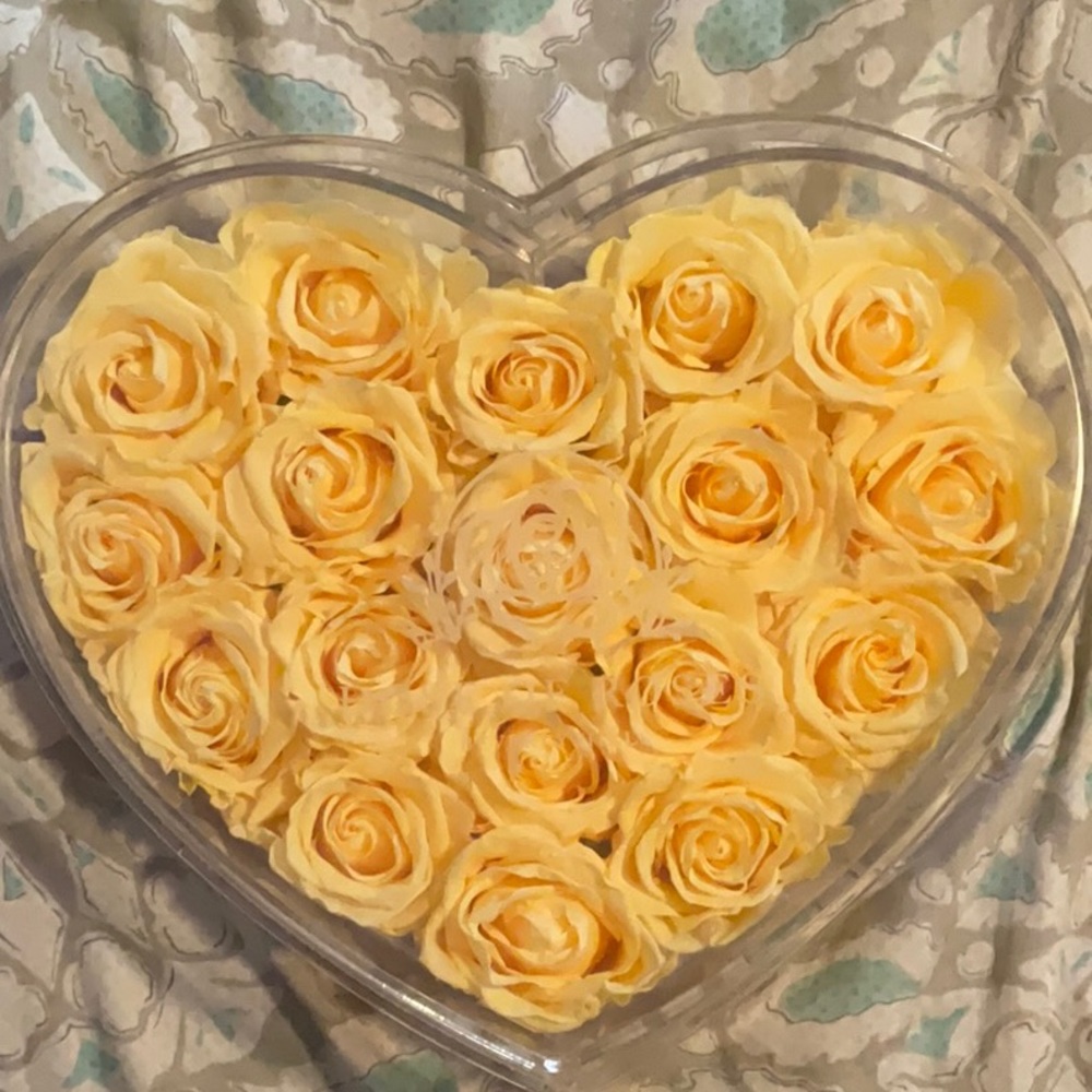 Dose of Roses ~ Eighteen Light peach